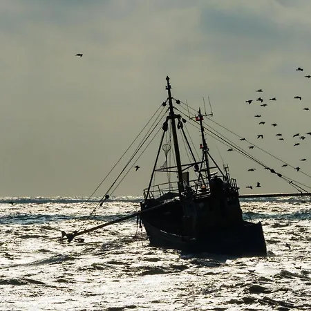 Appartementen Bredene דירה