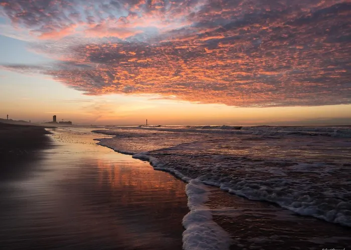 Appartementen Bredene Lägenhet