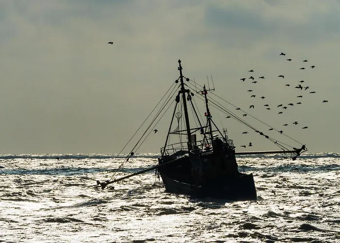 Appartementen Bredene Lägenhet